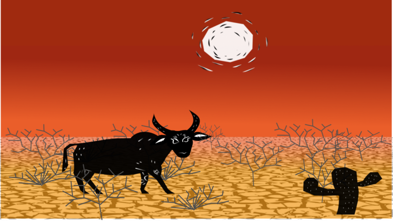 CAUSO: A Lenda do Boi “Careta”